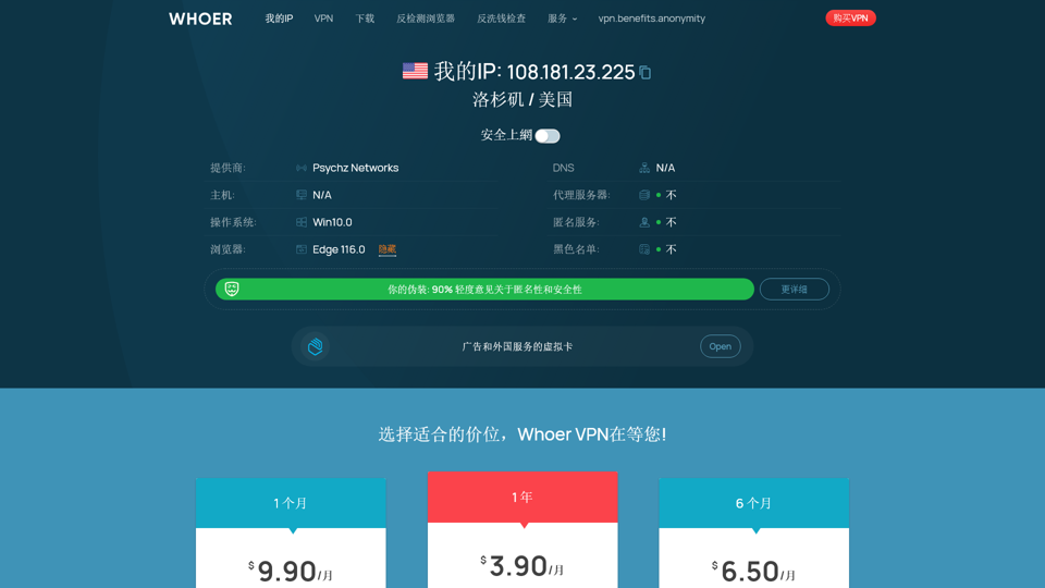 Check Your Own IP Address and DNS Address