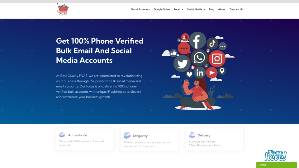 Home | Best Quality PVAS Provide 100% Phone Verified Bulk Email And Social Media Accounts